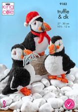 Load image into Gallery viewer, Pattern King Cole  DK 9102