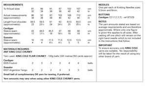 Pattern 6381  Chunky  King Cole
