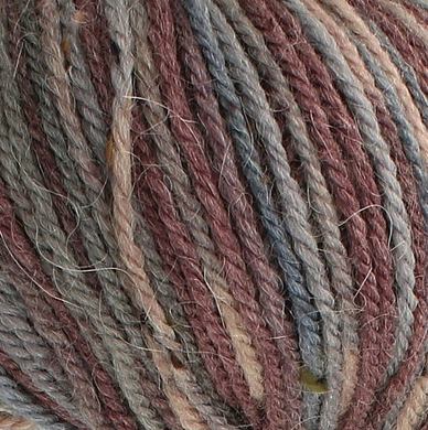 Homespun Prism Aran   Damson  6251