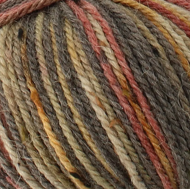 Homespun Prism Aran  Heathland   6257
