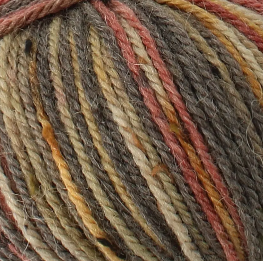 Homespun Prism Aran  Heathland   6257