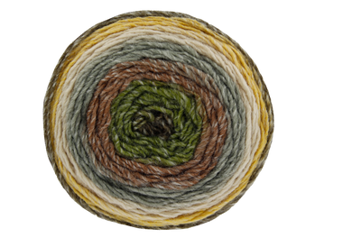 Curiosity Yarn Cake Dk          Camouflage   2898