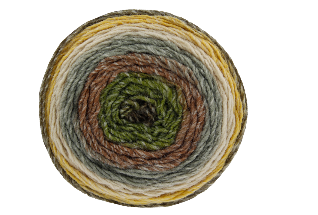 Curiosity Yarn Cake Dk          Camouflage   2898